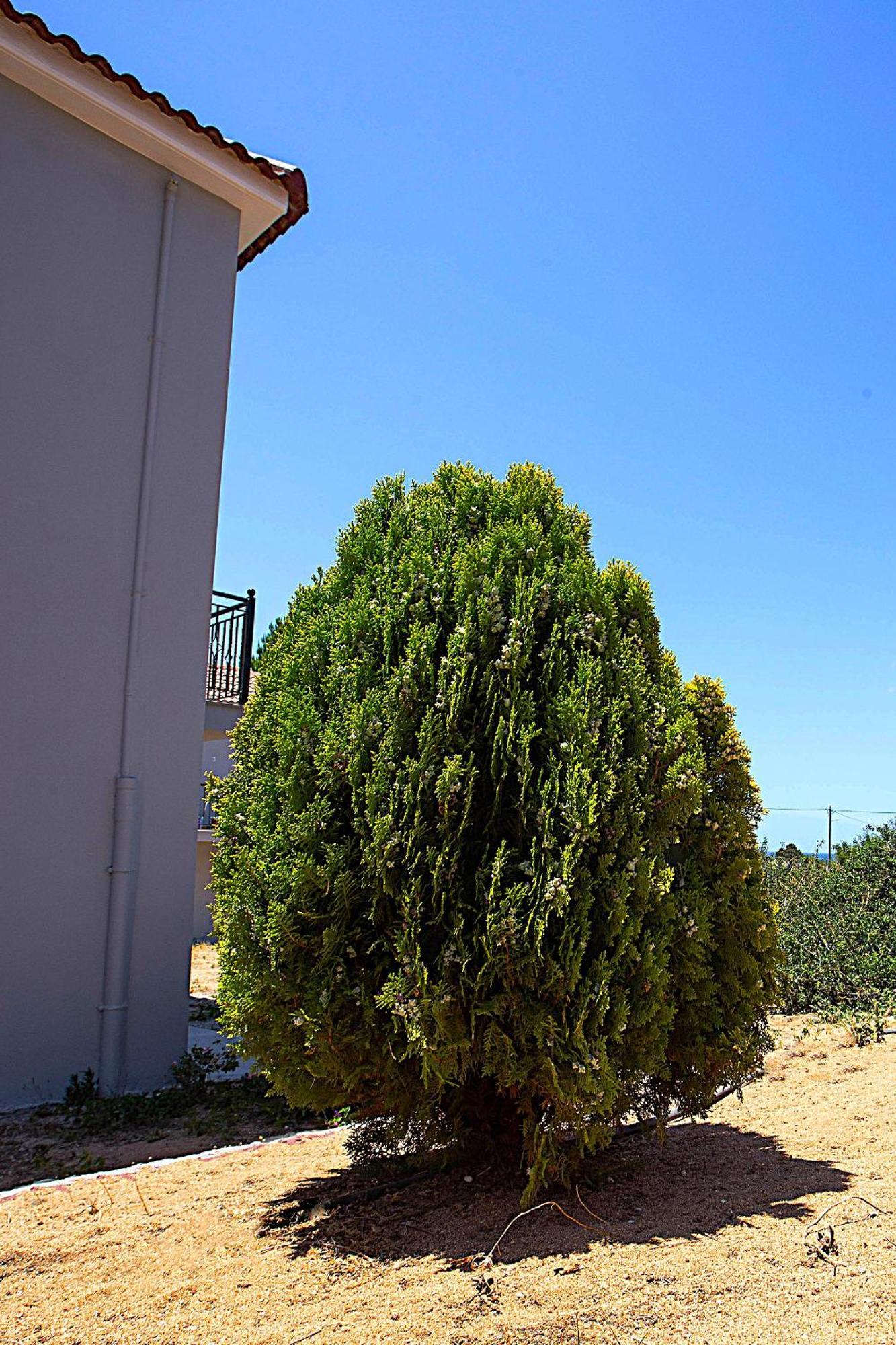 Romanos Beach Villas Exterior foto
